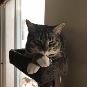 Meet your Posher, Kathy